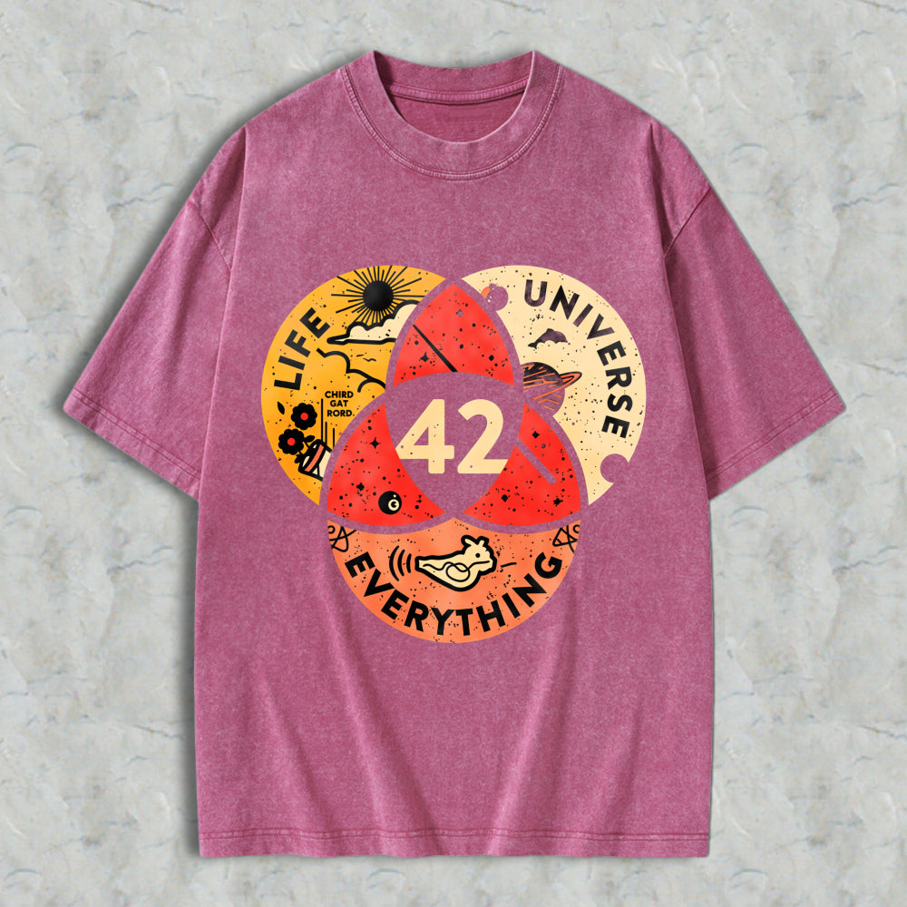 Wardrobecart Venn Diagram Life Universe Everything 42 Unisex Washed T-shirt