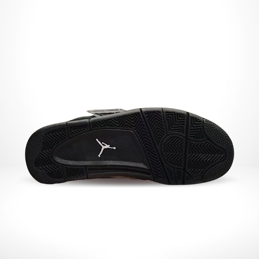 Air Jordan 4 Spotlight