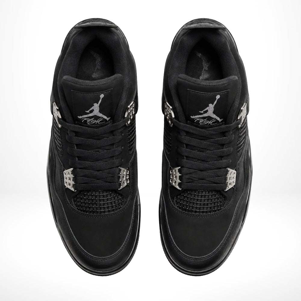 Air Jordan 4 Spotlight